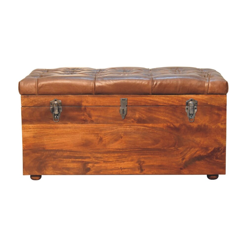 Buffalo Hide Chestnut Storage Trunk - Image 2