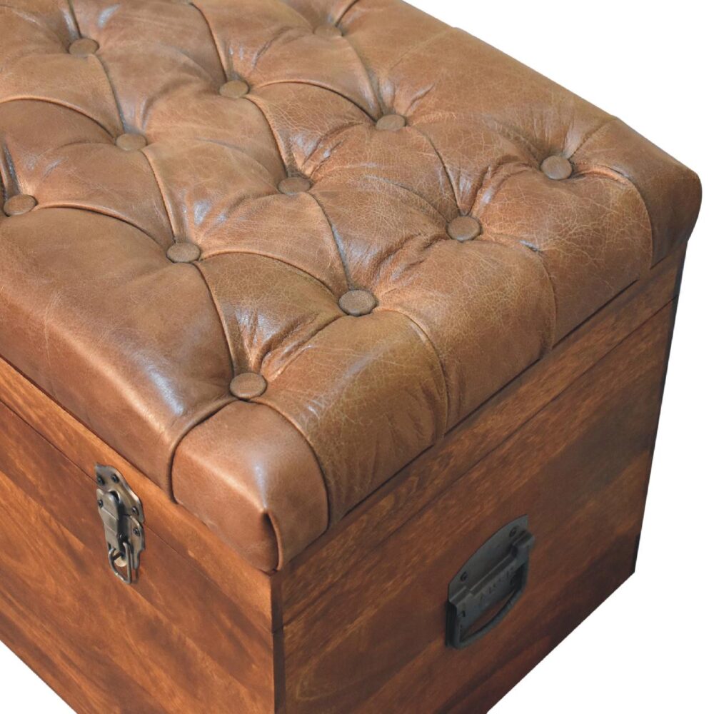 Buffalo Hide Chestnut Storage Trunk - Image 6