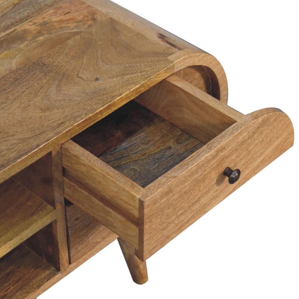 Oak-ish Circular Media Unit with 2 Open Slots - Image 7