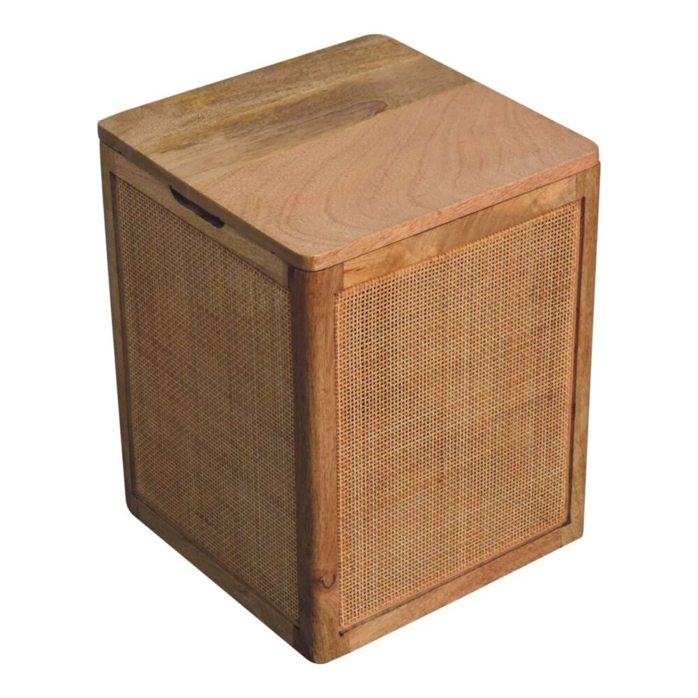 Larissa Storage Box - Image 4