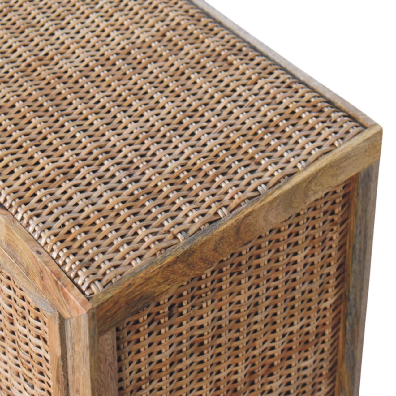 Rattan Oak 2-Door Cabinet - Image 5